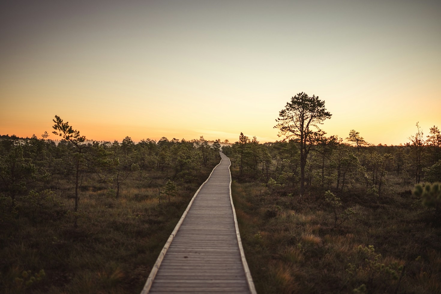 De kracht van hoop in een kwetsbaar natuurgebied